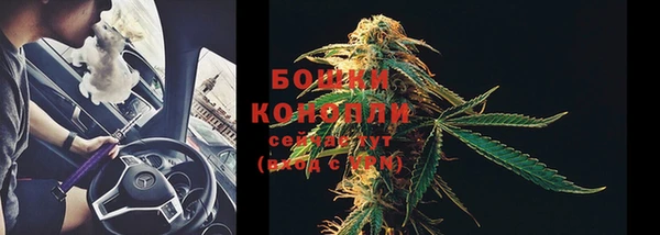 прущая мука Няндома