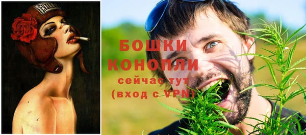 прущая мука Няндома