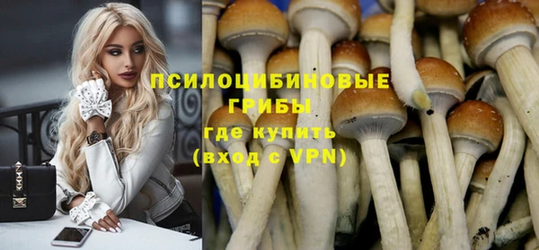 прущая мука Няндома