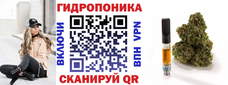 МАРИХУАНА MAZAR  где купить наркоту  Стародуб 